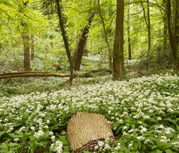 Unieke natuur